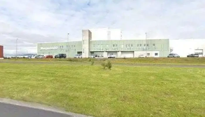 Vefmidlun Vefhonnun Og Vefsiður - Reykjavík