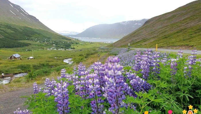 Vestfjardarvegur Parking Bilastæði - Mógilsá