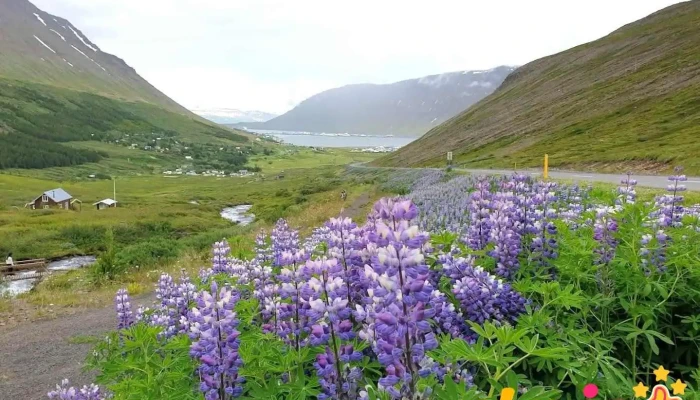 Vestfjarðarvegur Parking - Mógilsá