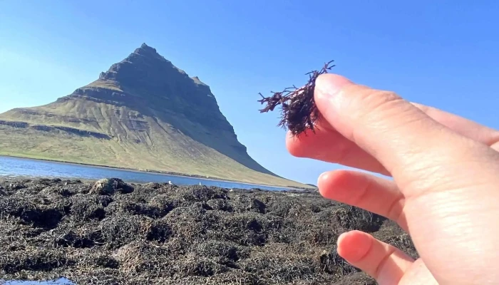 Vestur Adventures -  Nalægt Mer - Grundarfjörður