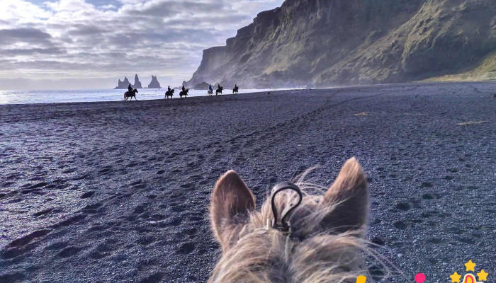 Vík Horse Adventure - 870 Vík