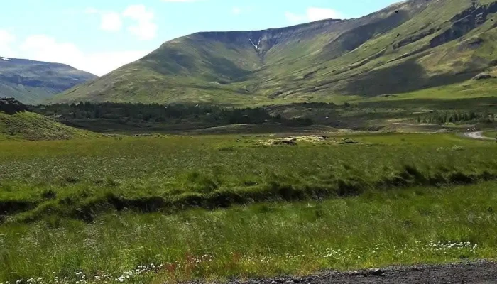 Vindashlid Kjos Meindýraeyðing - Kjósarskarðsvegur 48