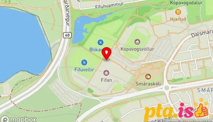 Virkni Og Vellidan Kort - Kópavogur