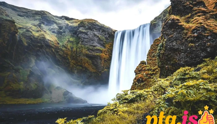 Visit Vík Iceland - Iceland