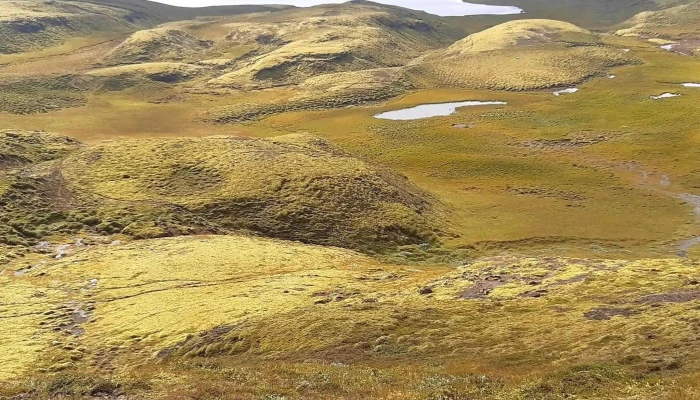Vorðufell Iceland 9 - Iceland