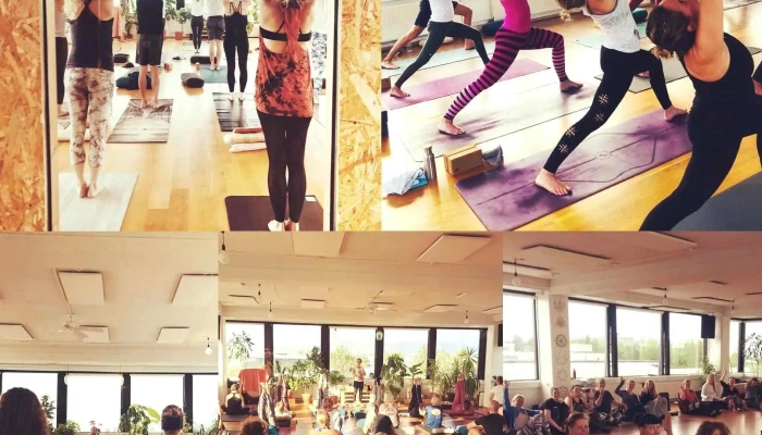 Yoga Shala Reykjavík - Skeifan 7